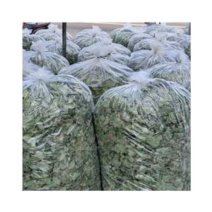 Feuilles de taro séchées à bon prix en sachet refermable - Vente en gros, meilleur prix pour la cuisson, livraison rapide - Product Image 5