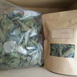 Hojas de Guayaba Secas Premium para Té Herbal, Ricas en Antioxidantes y Nutrientes Esenciales, Vida Útil de 24 Meses, Venta al por Mayor Global desde Vietnam - Product Image 6