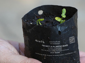 Tasse biodégradable compostable écologique recyclable en amidon de maïs et bagasse avec poignée longue anti-déversement - Product Image 3