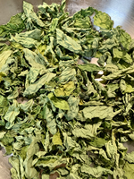 Bubuk Daun Katuk Kering Vietnam Langsung dari Pabrik, Kemasan Kraft 5kg untuk Teh Celup, Campuran Sup, Bumbu, dan Minuman