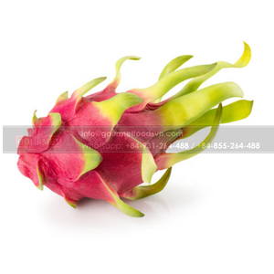 Fruta de dragón blanca fresca de grado dulce y aromático natural de alta calidad de Vietnam con la mejor oferta de mayorista - Product Image 2