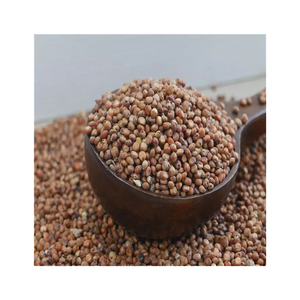 Grains de sorgho et graines de sorgho rouges, blanches et jaunes de bonne qualité - Product Image 3