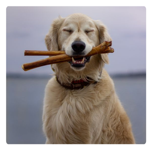 Juguetes para Masticar para Perros de Madera de Café Grande, Marca Viet Delta, Modelo Ms. Nancy, para Uso Diario en Interiores, Empaquetados en Cartón - Product Image 4