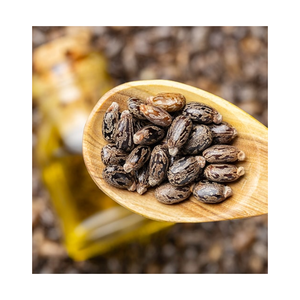 <span class=keywords><strong>Semi</strong></span> di Ricino di Alta Qualità, Essiccati, Grezzi, di Tipo Premium, per la Vendita all'Ingrosso - Product Image 1