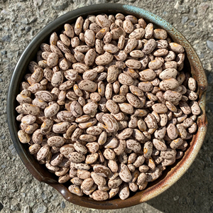 Frijoles Pinto Premium aptos para supermercados y envasado minorista - Product Image 6