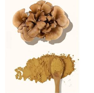 Poudre de champignon Maitake biologique en vrac, extrait de champignon superalimentaire de qualité supérieure pour produits nutraceutiques et herboraires, approvisionnement en gros - Product Image 1