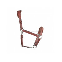 Haltères pour chevaux de haute qualité, haltères en cuir premium, haltères à fil barbelé pour chevaux, haltères de créateur d'Argentine à prix de gros, vente chaude