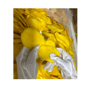 Mango Deshidratado en Almíbar, Sabor Agridulce, Origen Vietnam, Calidad Premium, Precio al por Mayor, Fruta Envasada al Vacío - Product Image 4