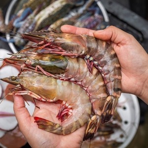 Crevettes tigrées noires entières séchées sans peau, variété Vannamei, IQF, en vrac, très vendues - Product Image 1