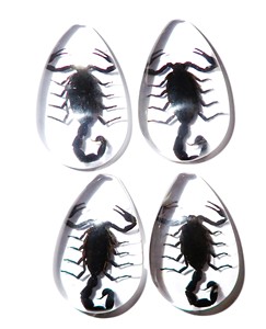 Black Scorpion Real Specimen Plastic Cabochon Pear Cut <b>Top</b> 46x30 mm Clear Flat Bottom for Crafts and Jewelry Making - Product Image 1