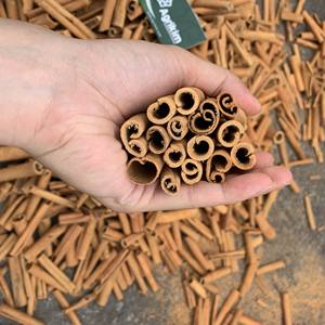 Nouvelle récolte 2026 Cannelle de Cassia du Vietnam séchée en bâtonnets, en forme de doigt, en tube, en forme de cigarette, en forme de cigare, en forme de rouleau, en provenance d'usine, PRIX, Nouvelle récolte, Longueurs personnalisées 8-20 - Product Image 3