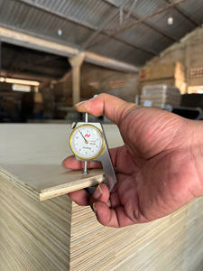 Láminas de Madera Contrachapada de Abedul 100% Personalizadas, de Alta Calidad, Comerciales, E0, Libres de Formaldehído, Modernas, para Muebles, Gabinetes, Talleres y Decoración - Product Image 6