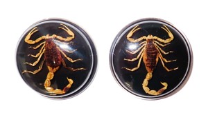 Escorpión Dorado, Espécimen Real, Cabujón de Plástico Redondo de 38.5x38.5 mm, Base Plana Negra para Manualidades y Joyería - Product Image 2