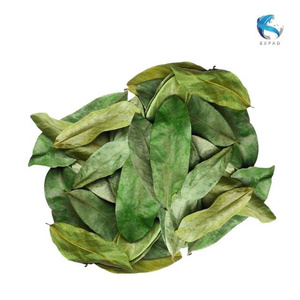 Hojas Secas Naturales de Annona Muricata (Custard Apple), Hojas Sueltas para Té Herbal, Paquete de Ingredientes a Granel, Precio al por Mayor - Product Image 2