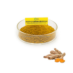Bitki bazlı <span class=keywords><strong>Curcumin</strong></span> özü çok mevsimsel <span class=keywords><strong>Curcumin</strong></span>, güçlü kararlılık <span class=keywords><strong>Curcumin</strong></span> ve ekonomik <span class=keywords><strong>Curcumin</strong></span> özü - Product Image 2