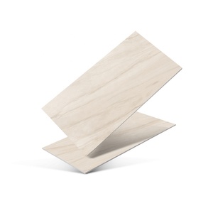 Carreaux de porcelaine légère premium 600x1200mm, effet marbre poli et glacé mat, carreaux vitrifiés pour salon moderne - Product Image 1