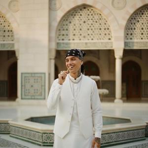 Sewak / Siwak / Miswak de la Mejor Calidad de Pakistán a Precios Especiales al por Mayor, Miswaks Peelu al por Mayor - Product Image 1