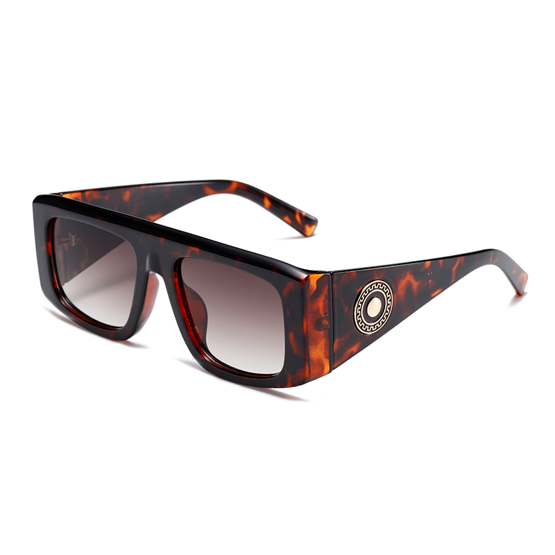 C2: Tortoise/ Brown Gradient