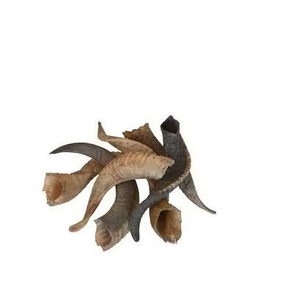 Corne de chèvre et forme naturelle Taille personnalisée Prix bon marché Corne naturelle Ram Shofar pour la corne de mouton la plus vendue - Product Image 6