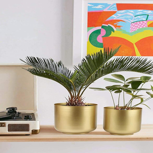<b>Large</b> Gold Planters Metal Aloe Brass-Tone Plant <b>Pots</b> Indoor Decorative Flower <b>Pots</b> with Drain Holes - Product Image 5