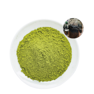 ผงใบอินดิโกคุณภาพสูง จำหน่ายจำนวนมาก 100% บริสุทธิ์และเป็นธรรมชาติ ผงใบอินดิโกเฟอร์รา ทินคโตรเรีย สำหรับย้อมผมและดูแลเส้นผม - Product Image 1