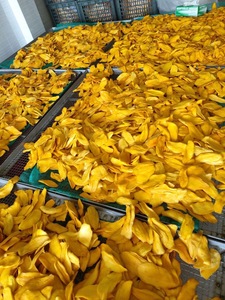 สินค้าขายดี มะม่วงอบแห้งแบบนุ่ม รสชาติเขตร้อน อุดมด้วยพลังงาน เหมาะสำหรับการผลิตอาหาร - Product Image 3