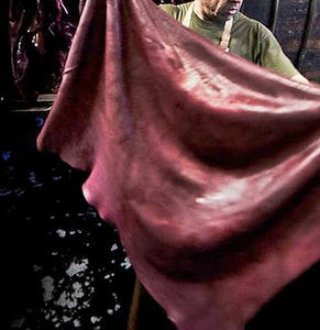 Cartera de Hombre Ligera de Alta Calidad en Tendencia, Elegante, de Cuero Genuino, Duradera, Larga, con Diseños de Logotipo Personalizados, Hecha en Fábrica - Product Image 4