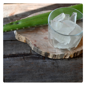 MEILLEUR CHOIX | Gelée d'aloe vera pour la consommation | Naturel et rafraîchissant | Idéal pour les boissons et les desserts - Product Image 4