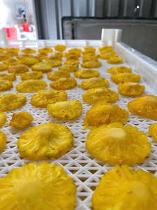 Morceaux d'ananas séché du Vietnam, ingrédient naturel de fruits tropicaux pour la pâtisserie, les desserts, la granola et la production de snacks en vrac - Product Image 1