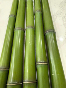 Bâtons et cannes en bambou naturel de Tonkin, droits et secs - Product Image 2