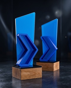 Medalla Elegante Personalizada de Acrílico y Bronce de Primera Calidad con Acabado Duradero, Logotipo Grabado Reciclable para Eventos Corporativos y Logros - Product Image 2