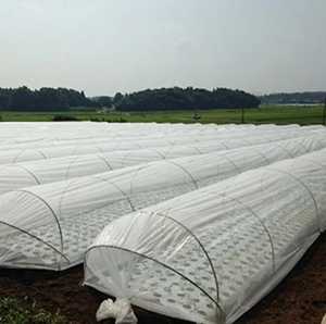 AQUASHAKTI LDPE Low Tunnel Film Role for Cultivators - Product Image 3