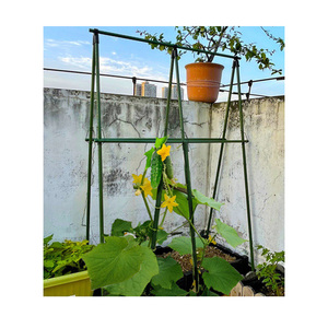 Piquets de jardin pour plantes grimpantes, piquets en métal revêtus de PE - Product Image 2