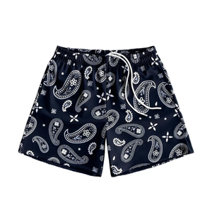 Shorts de basket-ball pour hommes de style rétro, en mesh sublimé, respirant, à séchage rapide, en polyester, coupe athlétique, pour la salle de sport, l'entraînement, le streetwear - Product Image 1