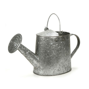 Arrosoir en zinc galvanisé, outil de jardin durable pour l'entretien des plantes d'intérieur et d'extérieur, style vintage, arrosoir de jardin de style campagnard - Product Image 1