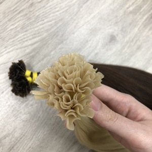Prix d'usine Extensions de cheveux Remy vietnamiens couleur claire droite U Tip Raw Donor Human Hair Quality Genius Weft - Product Image 2