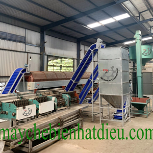 Cashew <b>Processing</b> Factory 5-100 T/Day Semi-auto Raw cashew <b>nut</b> Food Grade Stainless Steel Manufacturer Vietnam - Product Image 1