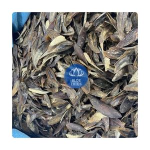 MATERIAL MARINO NATURAL MUREX OPERCULUM PULIDO, EL MÁS VENDIDO, PARA FIJADOR DE PERFUME, 100% PURO, LIMPIO, SEGURO, PARA EXPORTACIÓN DE JOYERÍA - Product Image 1