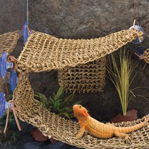 Hamaca Premium para Reptiles, Ideal para Dragones Barbudos, Geckos y Lagartos - Product Image 1