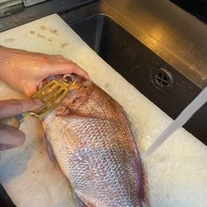 Détartreur de poisson à tête en laiton doré fabriqué au Japon avec poignée ergonomique en bois - Product Image 6