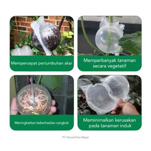 Pot de bouturage en plastique PP transparent léger de haute qualité, petit format, réutilisable, pour la création de couches d'air, outil de greffage - Product Image 4