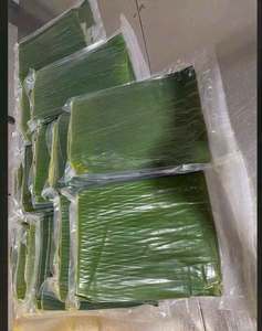 Feuilles de bananier vertes congelées du Vietnam, matériau végétal naturel pour l'emballage alimentaire, les gâteaux de riz collants, les aliments grillés, la restauration et l'exportation - Product Image 3