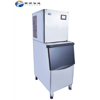 Macchina per Cubetti di Ghiaccio Automatica a Prezzo di Fabbrica, Capacità 300kg, Produttore di Ghiaccio Commerciale, Macchina per Blocchi di Ghiaccio, Raffreddamento ad Aria, Acciaio Inossidabile