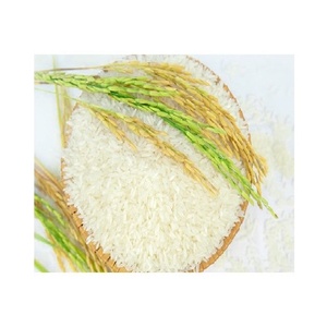 ข้าวหอมมะลิไทย 5% ข้าวหักงอก สำหรับการค้าระหว่างประเทศ - Product Image 5
