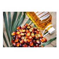 Aceite de Palma Hidrogenado Orgánico Refinado de Grado Premium CP6 CP8 CP10 con 100% de Pureza y Precio Económico