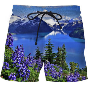 Pantalones Cortos de Playa para Hombre, Directo de Fábrica, Ecológicos, Transpirables, con Cierre de Cordón, Spandex/Poliéster, Secado Rápido - Product Image 1