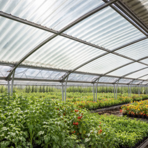 Lámina de FRP |   Lámina de Techo de Plástico Reforzado con Fibra de Vidrio |   Lámina Industrial Translúcida y Corrugada - Product Image 4