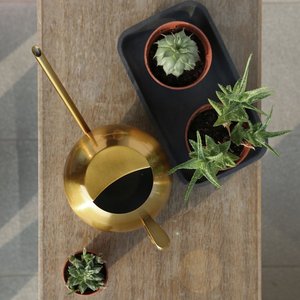 Arrosoir à long bec en métal de qualité supérieure, pièce décorative de luxe, arrosoir en métal fait main moderne pour plantes d'intérieur, aspect rustique - Product Image 5