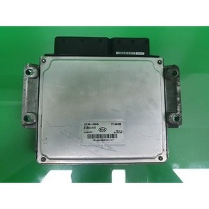 ECUs y Módulos de Computación Usados de Carnival 391044X945 - Product Image 4