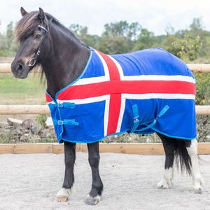 At örtüsü s sıcak satış at ekipmanları at örtüsü s özelleştirmek nefes battaniye su geçirmez kış binicilik at örtüsü - Product Image 4